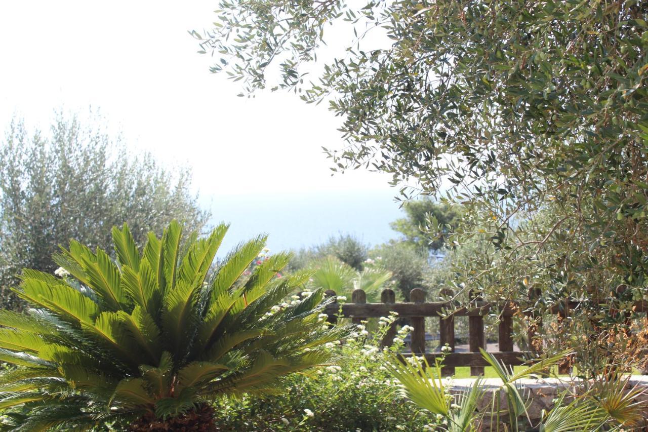 Castro  Amoru Bed & Breakfast מראה חיצוני תמונה