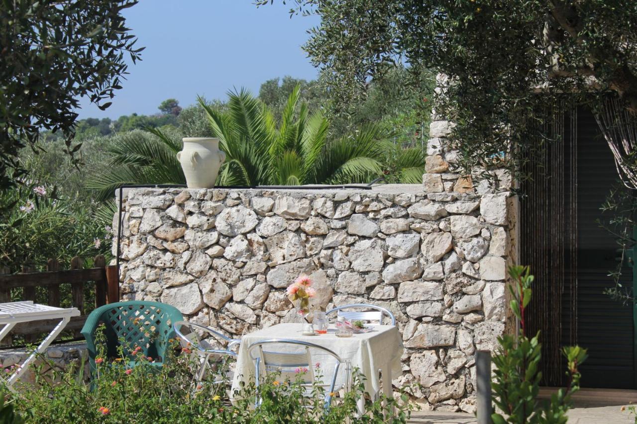 Castro  Amoru Bed & Breakfast מראה חיצוני תמונה