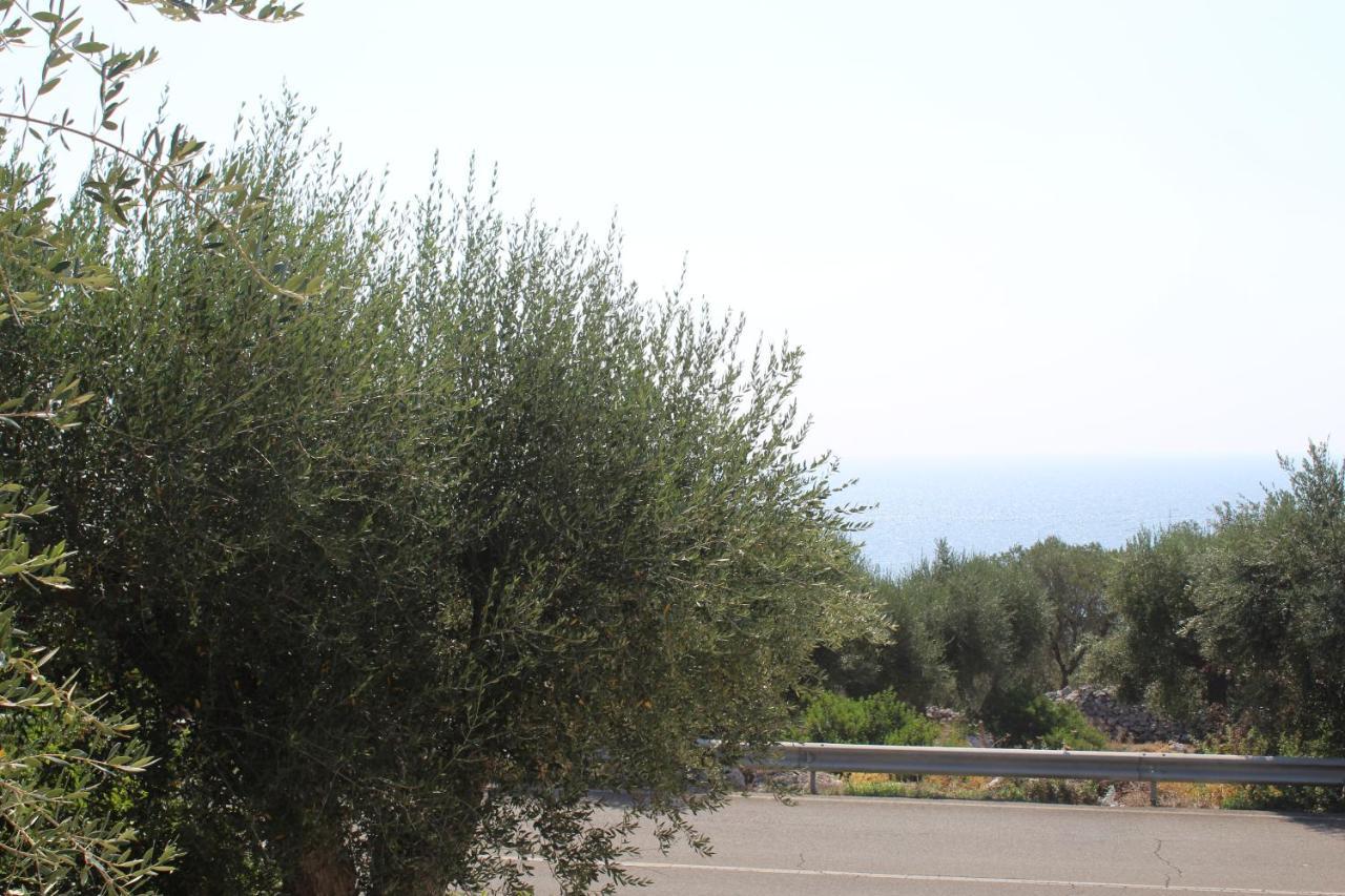Castro  Amoru Bed & Breakfast מראה חיצוני תמונה