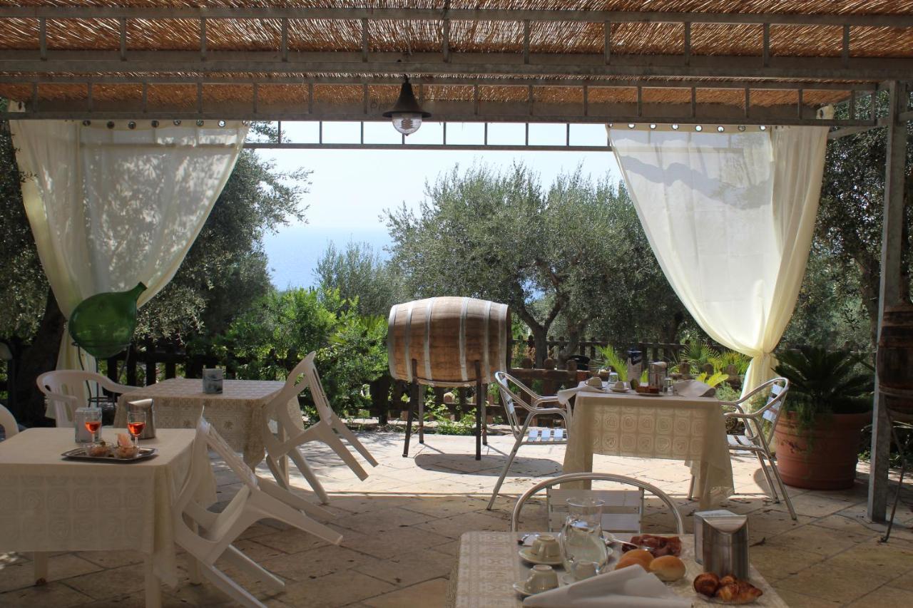 Castro  Amoru Bed & Breakfast מראה חיצוני תמונה