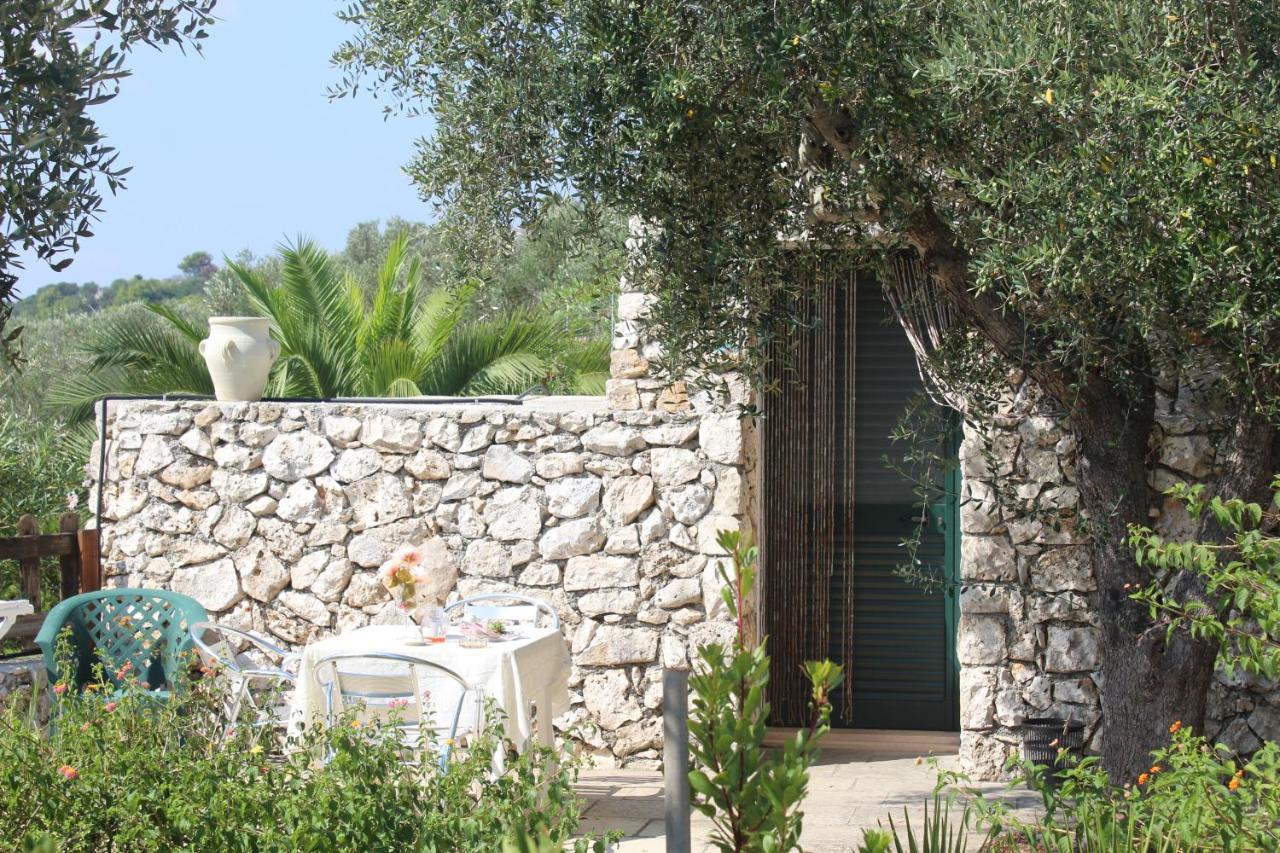 Castro  Amoru Bed & Breakfast מראה חיצוני תמונה