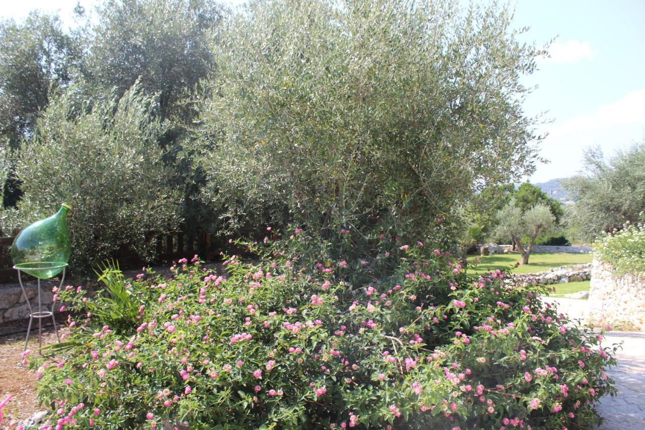 Castro  Amoru Bed & Breakfast מראה חיצוני תמונה